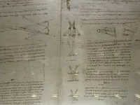 Studies on Optics and Perspective