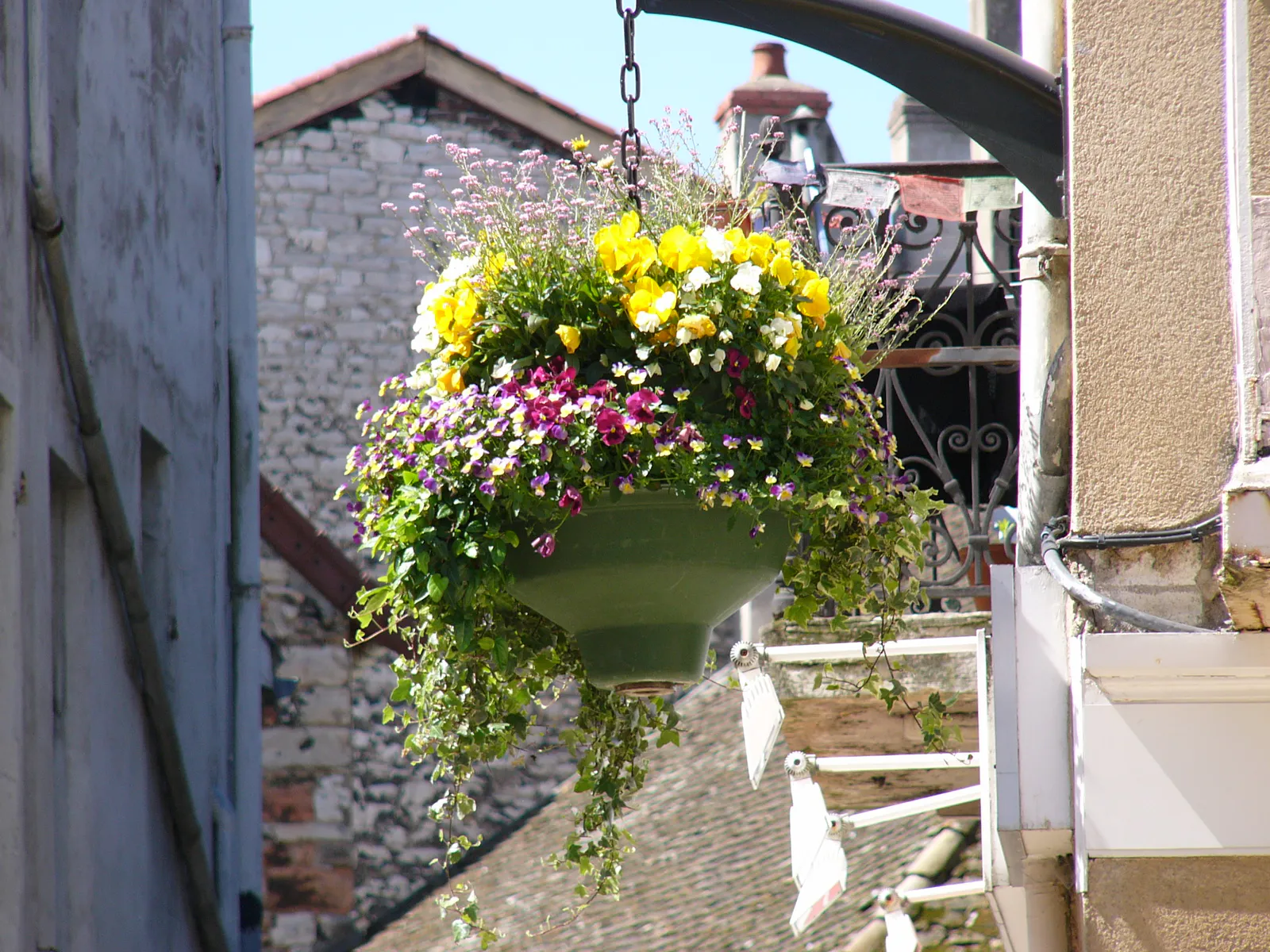 Hanging Flower Basket