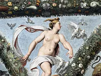 Venus and the Doves