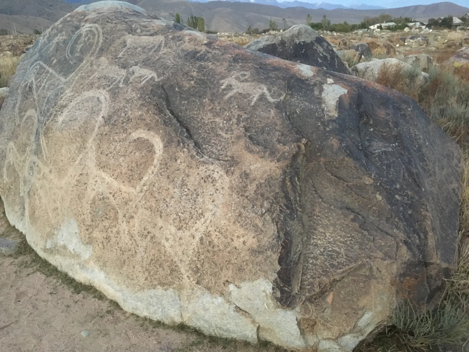 アイベックス狩りと太陽のシンボル