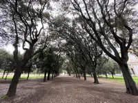 Shaded Promenade of Villa Borghese