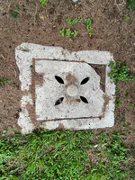 Drain Cover