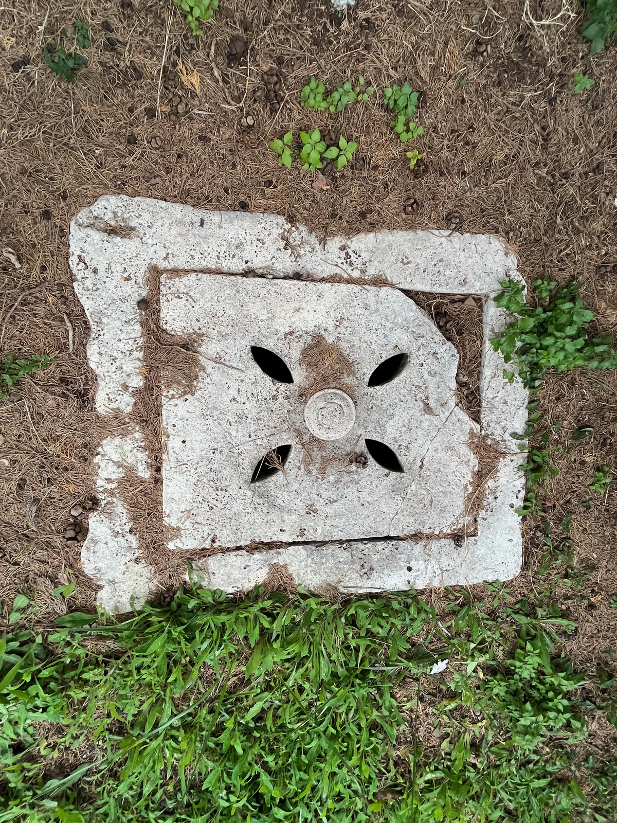 Drain Cover