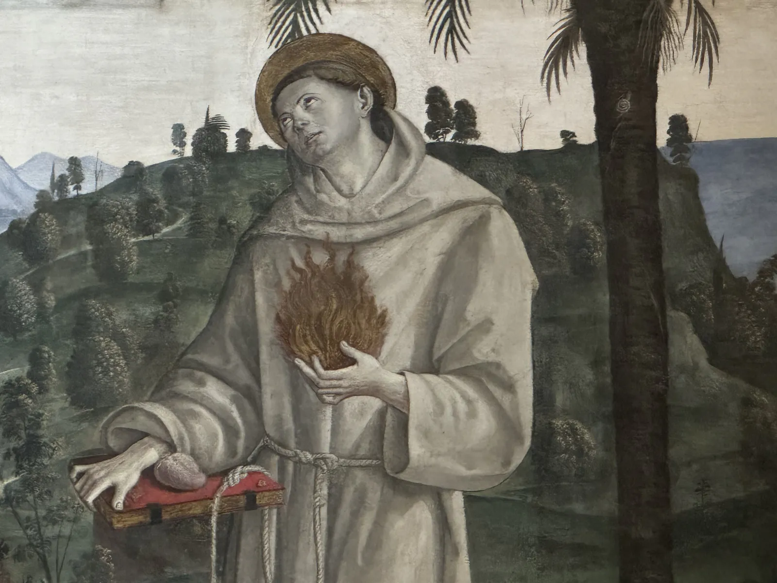 St Francis