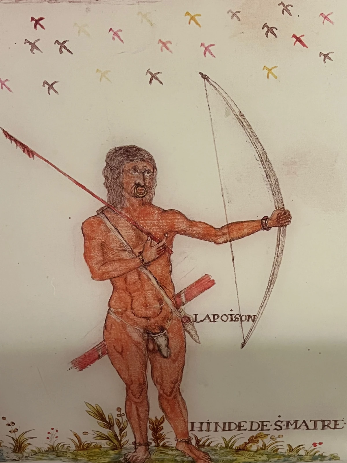 Indigenous Archer
