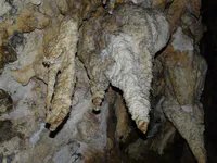 Stalactites of Wonder Cave