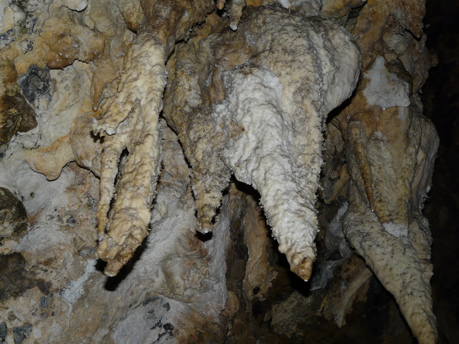 Stalactites of Wonder Cave