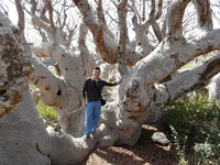 Max Among Baobabs