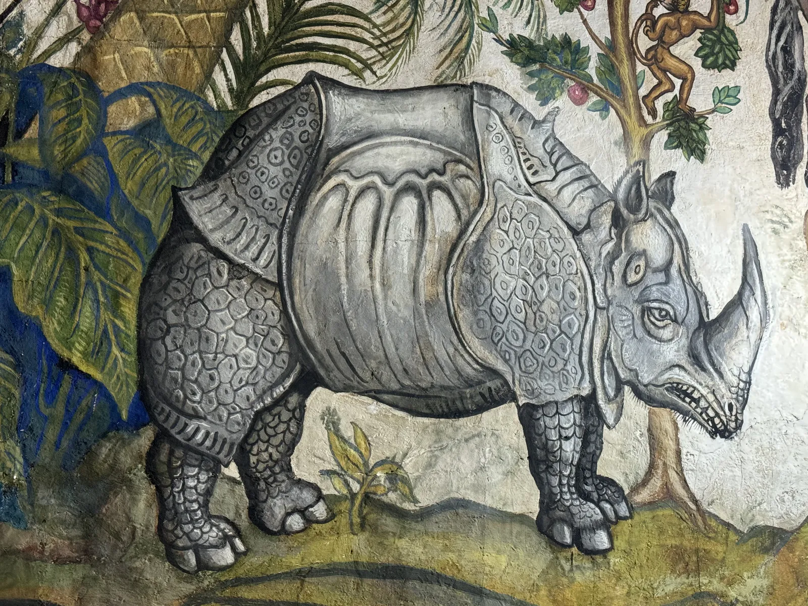 Rhinocéros fantastique
