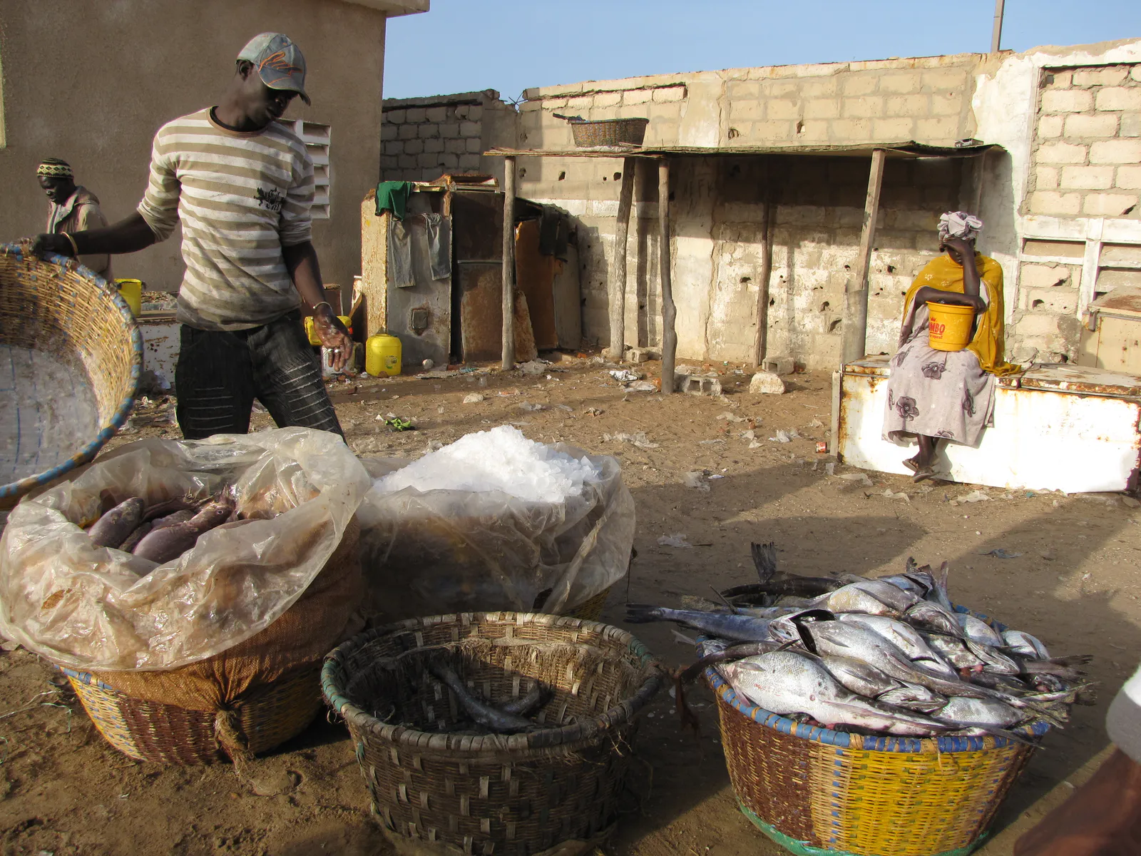 Afternoon Fish Market
