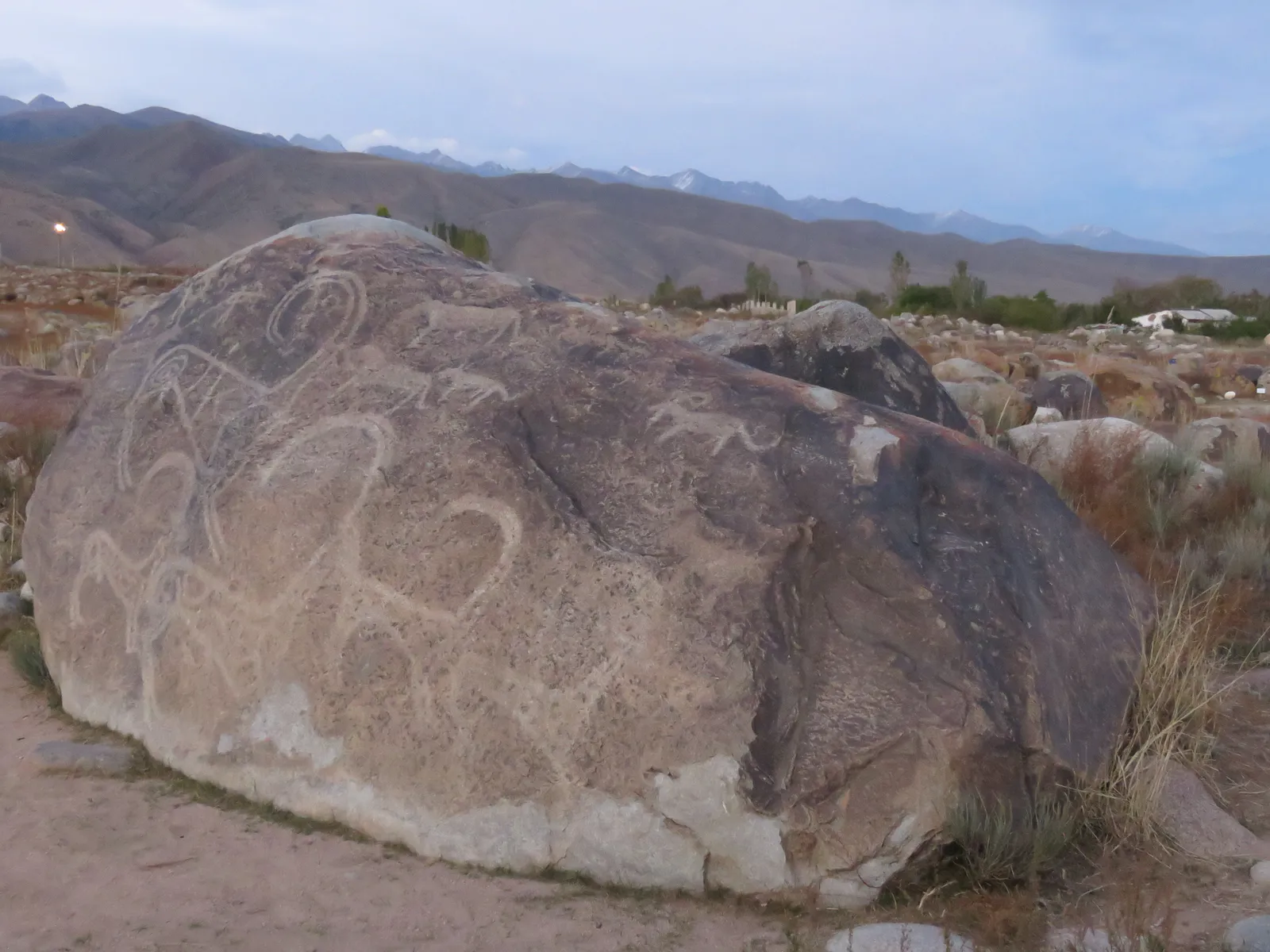 アイベックスの狩猟場面