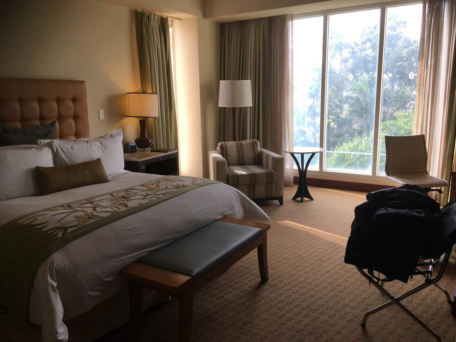 Morning Light in a San José Suite