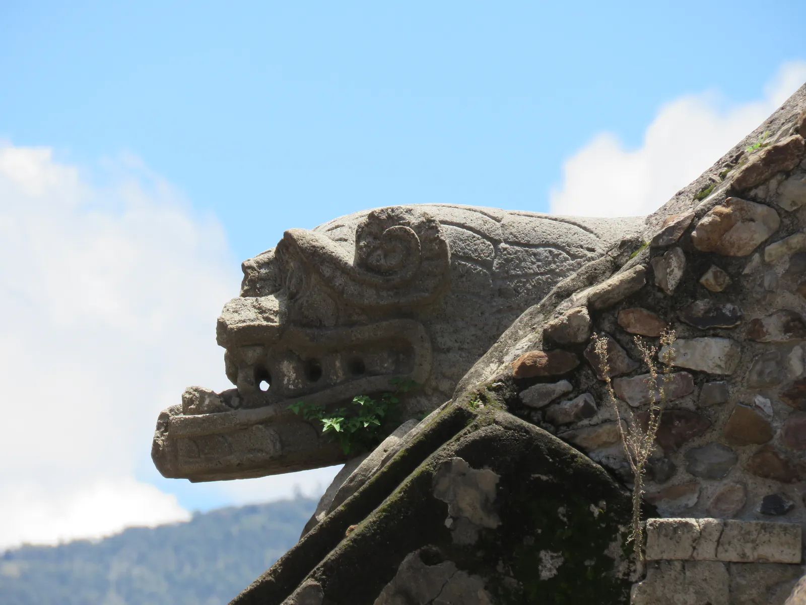 横顔の羽毛の蛇神の頭部
