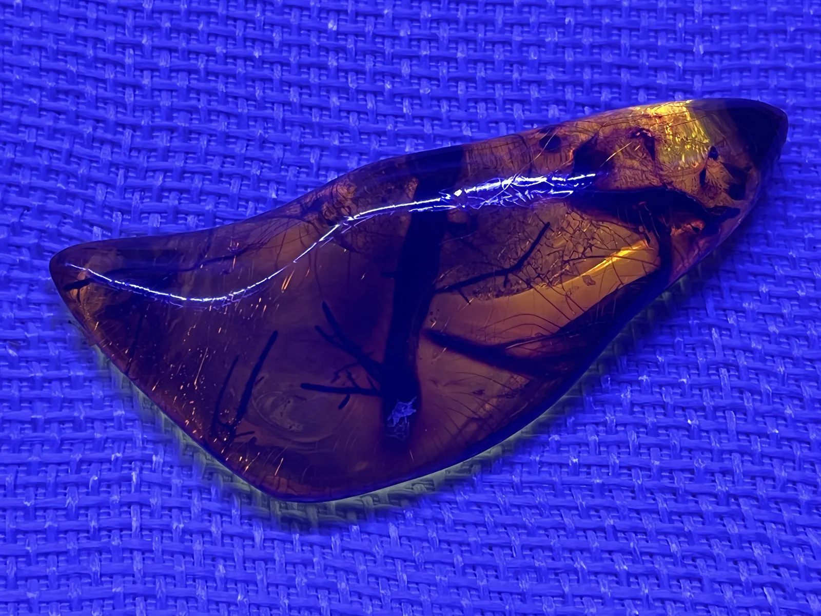 Amber with Plant Material under UV Light