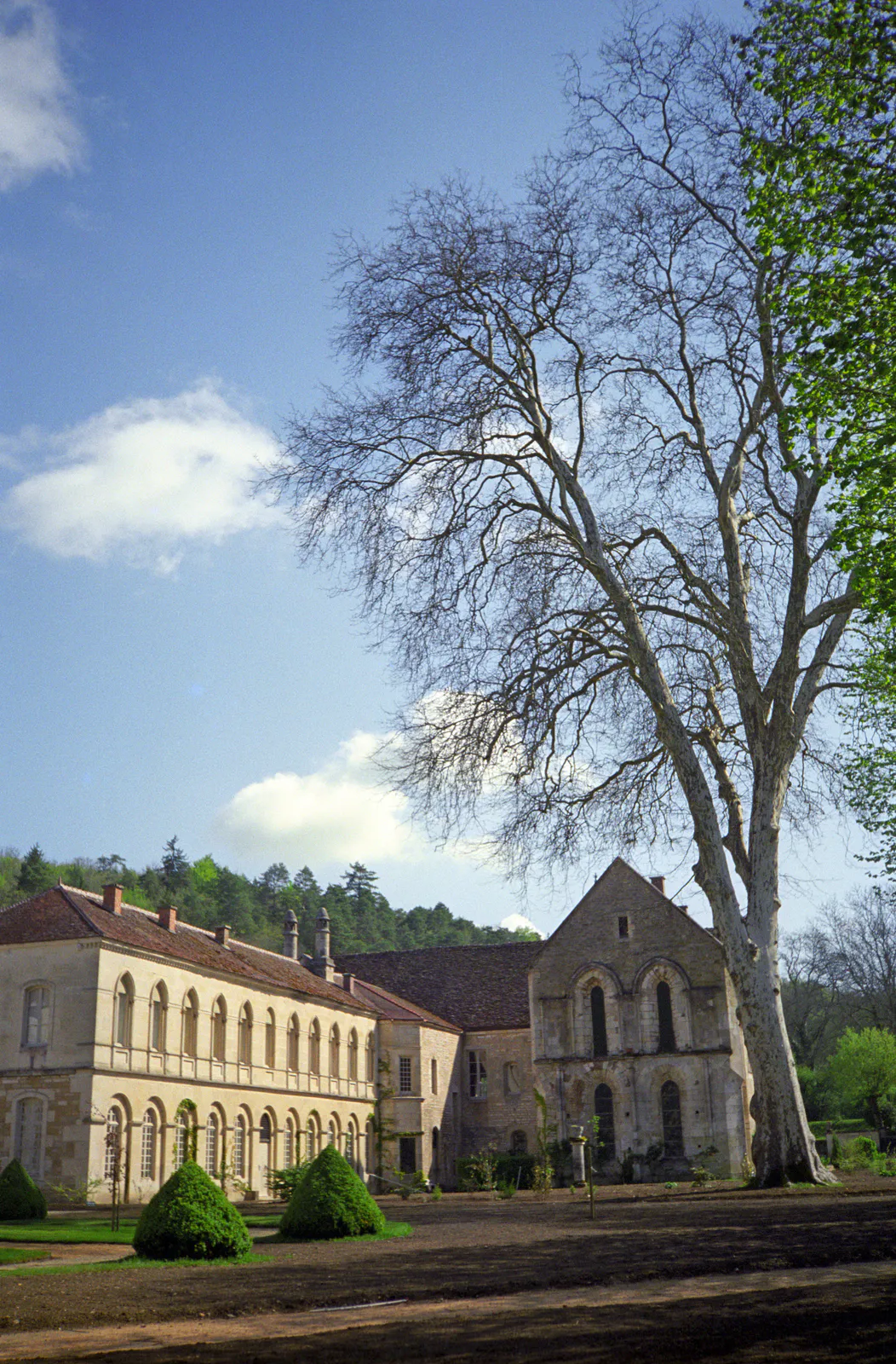 Romanesque Church and Convent Buildings