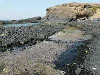 Volcanic Tidal Pools