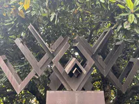 Condor – Homage to Virgilio Barco Vargas