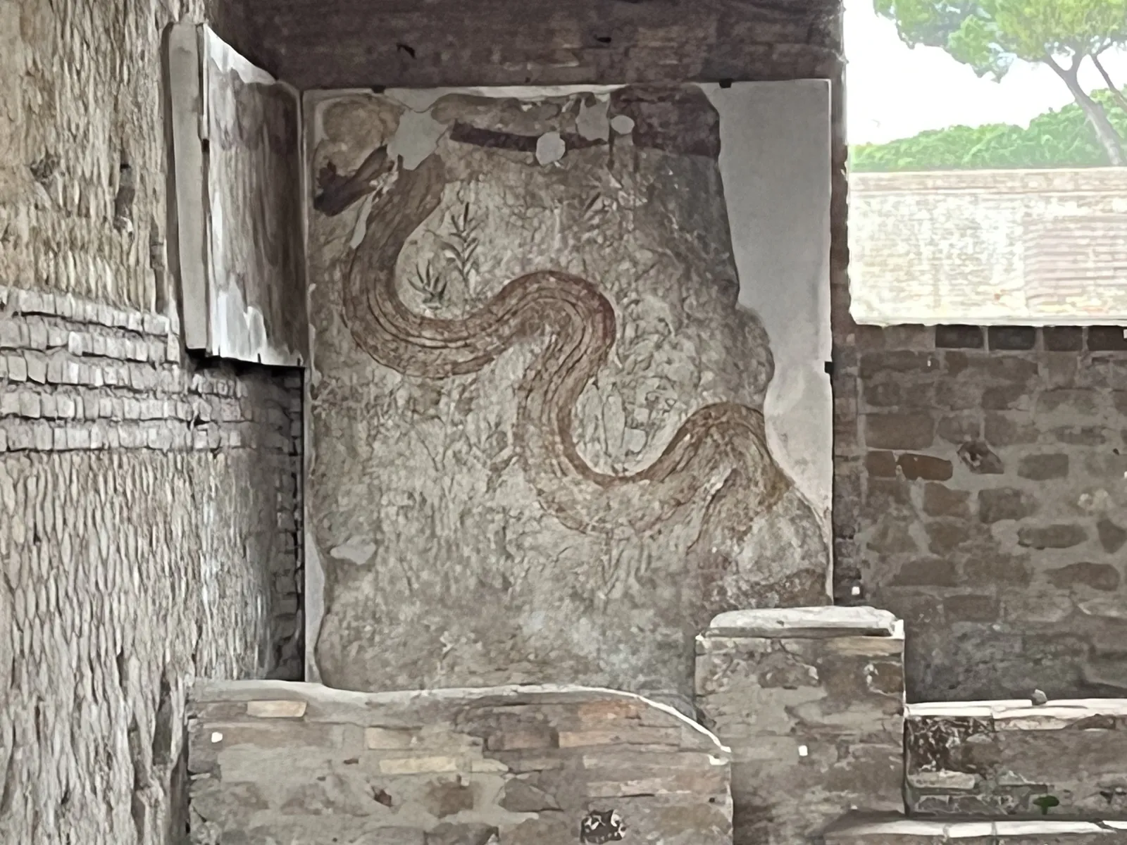 Female Serpent